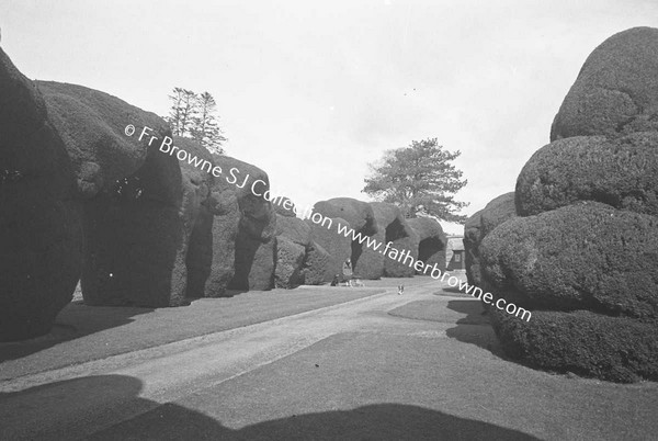 HEADFORD HOUSE  THE YEW WALK